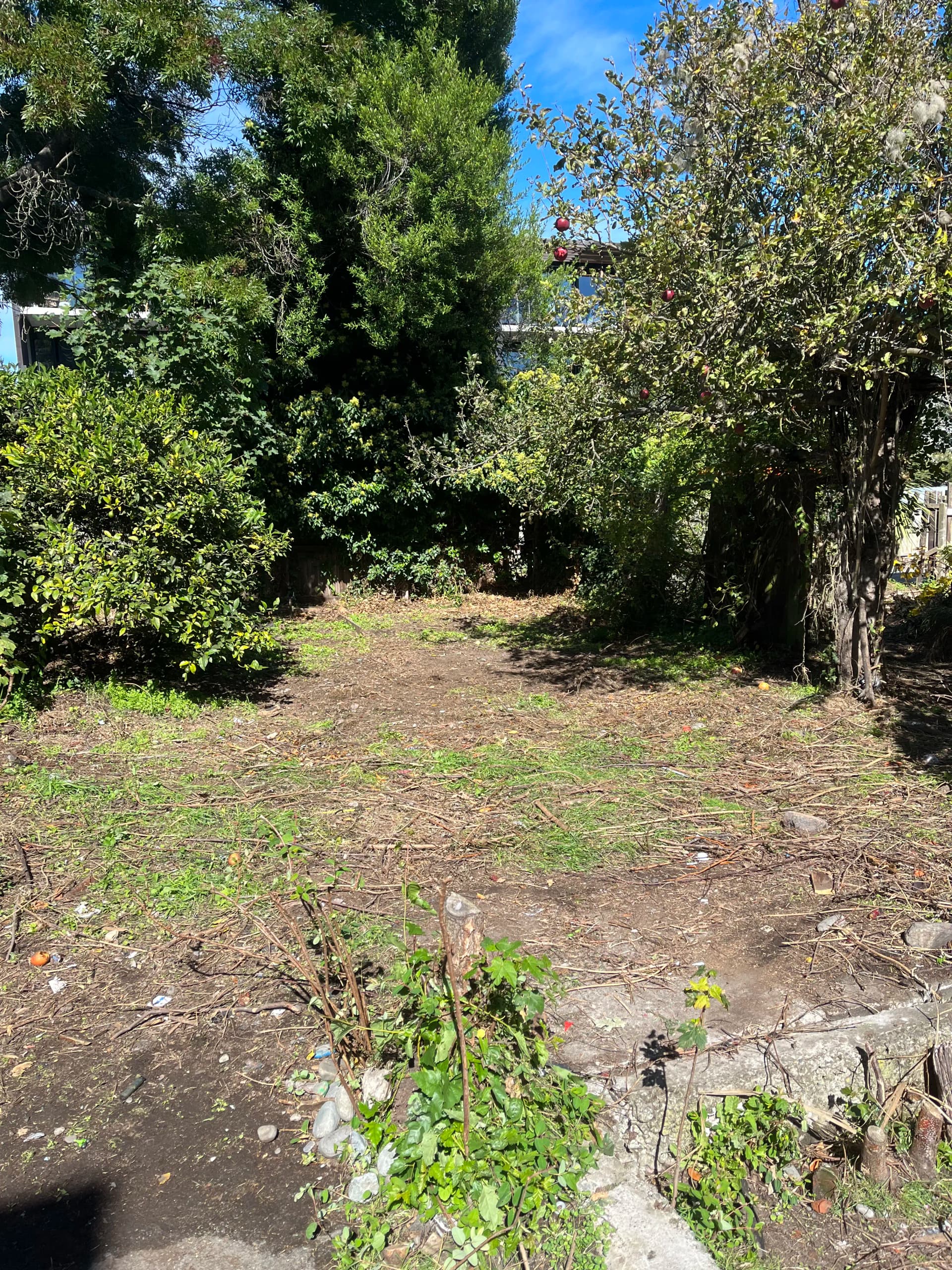 After professional junk removal in Christchurch - clean, organized outdoor space